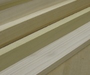 picture of poplar samples